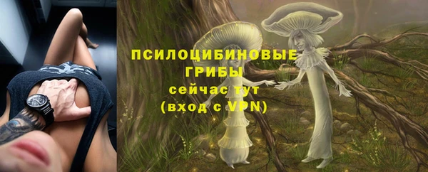 бошки Арсеньев