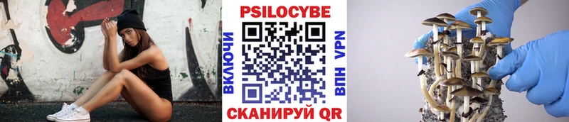 Псилоцибиновые грибы Cubensis  Солнечногорск 