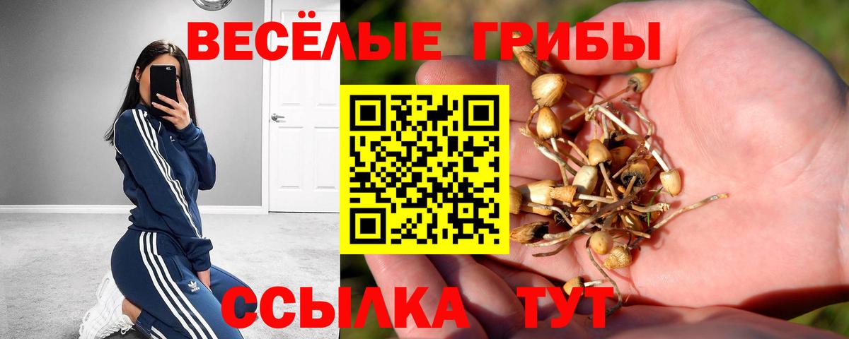 Галлюциногенные грибы Psilocybe  Галлюциногенные грибы Magic Shrooms  купить наркотики сайты  Солнечногорск  Вход с VPN 
