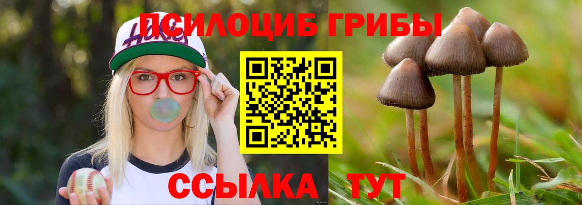 Псилоцибиновые грибы мицелий Солнечногорск