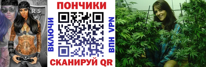 Бошки Шишки индика  купить наркотики цена  блэк спрут ССЫЛКА  Солнечногорск 